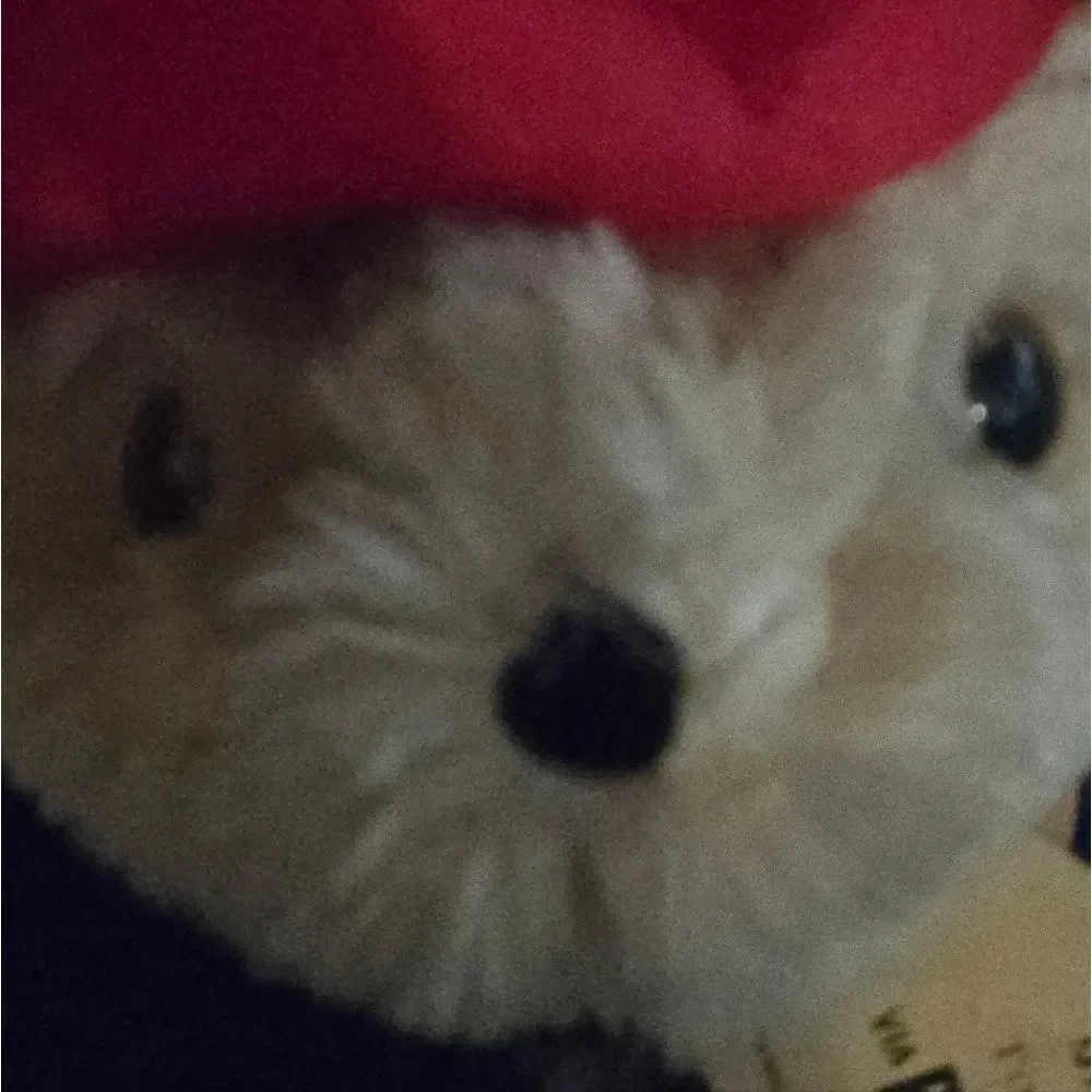 VINTAGE PADDINGTON BEAR FROM 1975 WITH ORIGINAL TAG